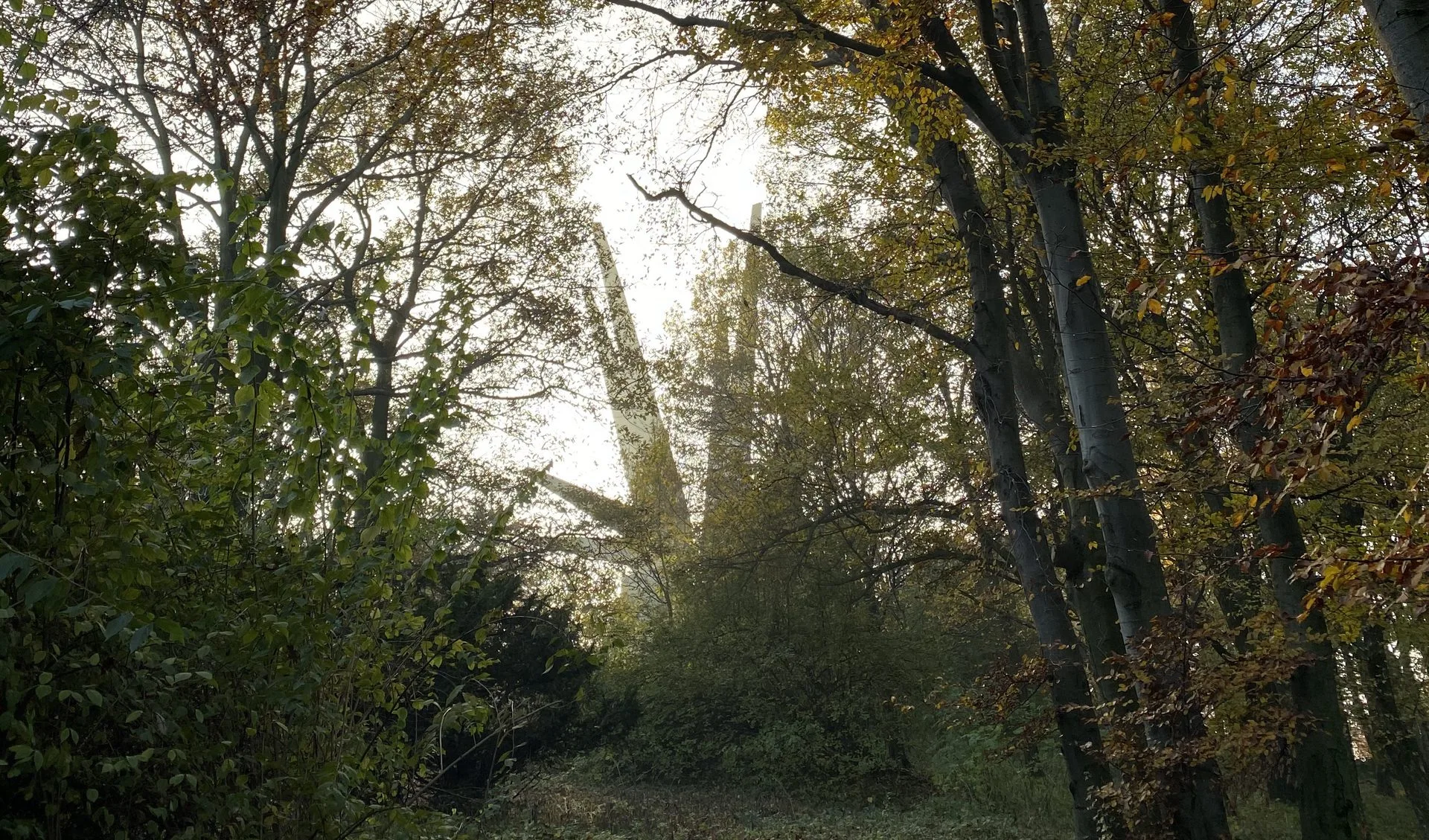 Brutalizam nadomak grada