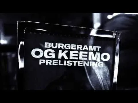 Sennheiser Prelistening — detail 4